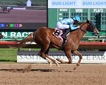 King Adolis wins a maiden claiming race at Sam Houston Race Park