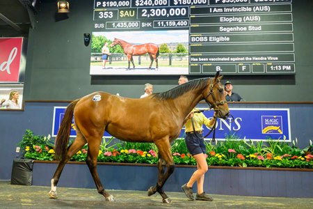 Lot 353, a daughter of I Am Invincible, brings AU$2.3 million during the second session of the Magic Millions Gold Coast Yearling Sale