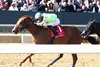 Tejano Twist wins the 2025 King Cotton Stakes at Oaklawn Park