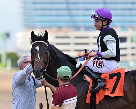 Grade 2 winner Damon's Mound is among the offerings in the Inglis Digital USA October (Early) Sale