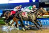 ​1/18/2025 - Disco Time with jockey Florent Geroux aboard get a head in front of Built to win the 81st running of the Grade III $250,000 Lecomte Stakes at Fair Grounds.  Hodges Photography / Lou Hodges, Jr.