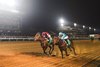 Forever Young wins the 2025 Saudi Cup at King Abdulaziz Racetrack