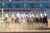 Quietside wins the 2025 Honeybee Stakes at Oaklawn Park