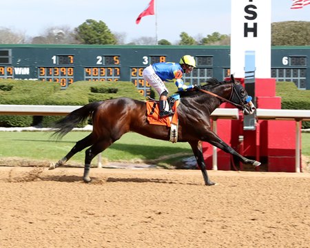 Cornucopian captures his debut at Oaklawn Park