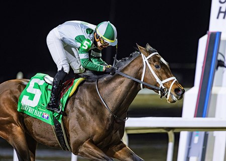 California Burrito wins the John Battaglia Memorial Stakes at Turfway Park