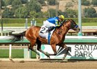 Citizen Bull and jockey Martin Garcia win the G3, $200,000 Robert B. Lewis Stakes, Saturday, February 1, 2025 at Santa Anita Park, Arcadica CA.
&#169; BENOIT PHOTO