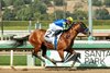 Citizen Bull and jockey Martin Garcia win the G3, $200,000 Robert B. Lewis Stakes, Saturday, February 1, 2025 at Santa Anita Park, Arcadica CA.
&#169; BENOIT PHOTO