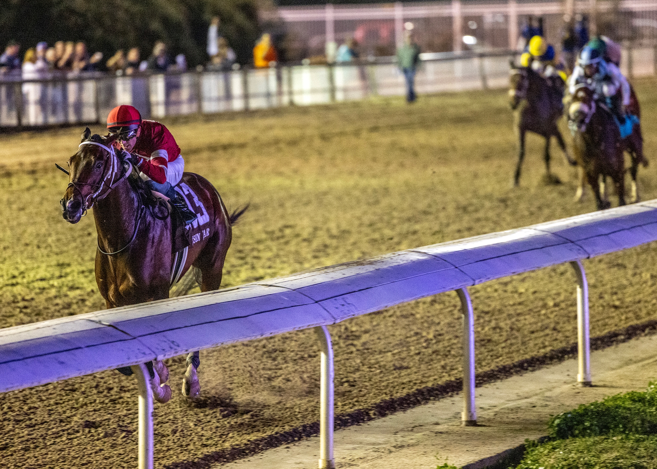 ダービースタリオン for win DERBY STARION ダービースタリオン for win DERBY STARION Mystik Dan wins