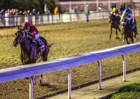 Magnitude emerged with a chip in a fetlock after his blowout win in the Risen Star Stakes at Fair Grounds Race Course