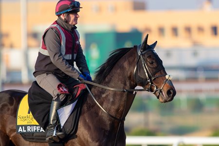 Al Riffa trains at King Abdulaziz Racecourse in Saudi Arabia