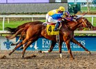 2/15/2025  -  Hall Of Fame with jockey Jose Ortiz aboard wins the 40th running of the Grade III $250,000 Mineshaft Stakes at Fair Grounds.  Hodges Photography / Lou Hodges, Jr.