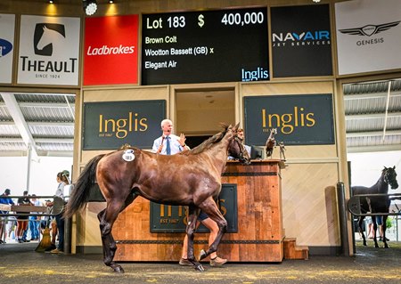 Lot 183, a colt by Wootton Bassett, sells for AU$400,000 at the Inglis Classic Yearling Sale