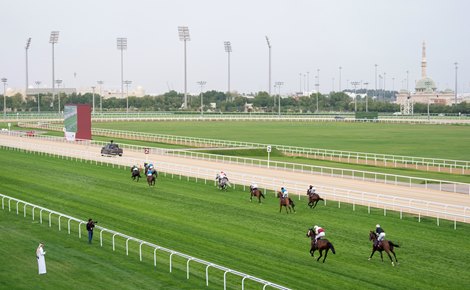 Qatar’s Top Feb. 15 Program Scrapped Due to Unsafe Turf