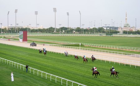 Al Rayyan Racecourse