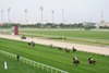 The runners in the Irish Thoroughbred Marketing Cup at Al Rayyan racecourse race down the home straight
Doha 15.2.25 Pic: Edward Whitaker