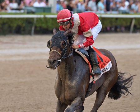 Burnham Square wins the Holy Bull Stakes at Gulfstream Park