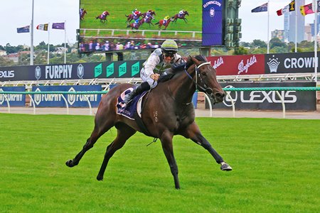 Skybird wins the Black Caviar Lightning Stakes at Flemington Racecourse