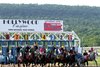 The field for the 2nd Running of the Mountainview Handicap leave the starting gate at Penn National on June 1, 2013. Photo By: Chad B. Harmon