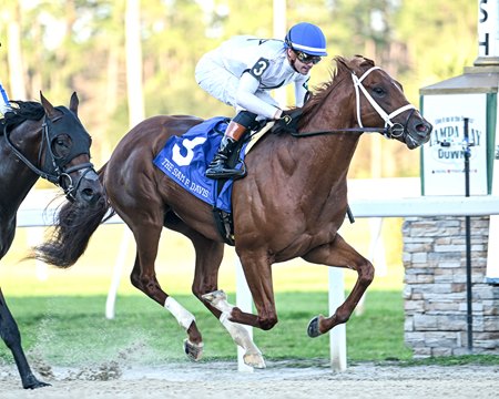 John Hancock wins the Sam F. Davis Stakes at Tampa Bay Downs