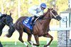 John Hancock wins the 2025 Sam F. Davis Stakes at Tampa Bay Downs