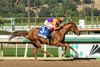 Spendthrift Farm&#39;s Kopion and Antonio Fresu win the G2 $200,000 Santa Monica Stakes Saturday, February 1, 2025 at Santa Anita Park in Arcadia, CA.
Benoit Photo