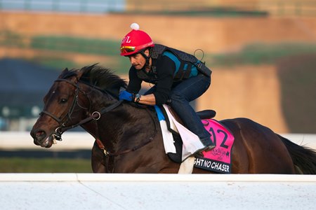 Straight No Chaser trains Feb. 17 at King Abdulaziz Racecourse