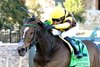 Quietside wins the 2025 Honeybee Stakes at Oaklawn Park