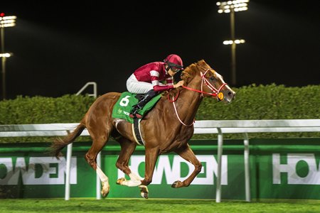 Shin Emperor wins the 2025 Neom Turf Cup at King Abdulaziz Racetrack