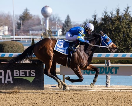 Volleyballprincess wins the Ruthless Stakes at Aqueduct Racetrack