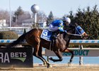 Volleyballprincess wins the 2025 Ruthless Stakes at Aqueduct Racetrack