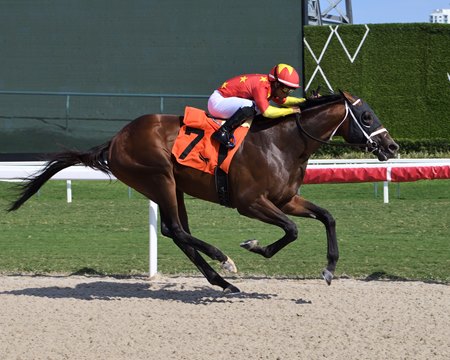 Emergence scores in his debut at Gulfstream Park