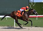 Emergence, Maiden Win, Gulfstream Park, February 1 2025