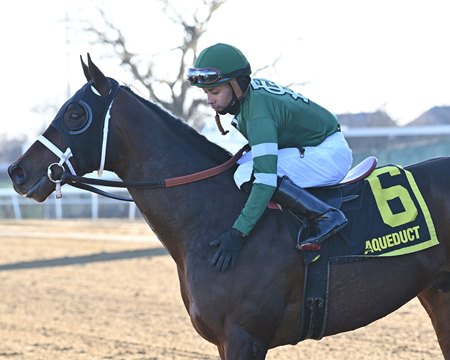 Captain Cook and Manny Franco following their win in the Withers Stakes at Aqueduct Racetrack