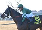 Captain Cook wins the 2025 Withers Stakes at Aqueduct Racetrack