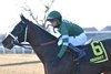 Captain Cook wins the 2025 Withers Stakes at Aqueduct Racetrack