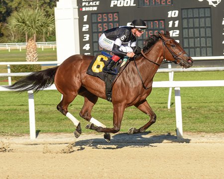 La Cara wins the Suncoast Stakes at Tampa Bay Downs