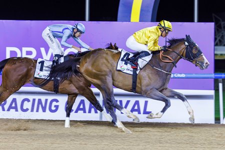 Queen Azteca wins the UAE Oaks at Meydan Racecourse