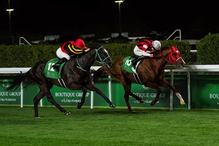 Ascoli Piceno wins the 1351 Turf Sprint at King Abdulaziz Racetrack