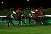 Ascoli Piceno wins the 2025 1351 Turf Sprint at King Abdulaziz Racetrack, Riyadh, Saudi Arabia, Mathea Kelley-JSCA, Feb. 22, 2025
