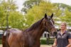 2025 Inglis Classic Yearling Sale, Lot 707