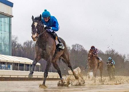 Quint's Brew wins the 2025 General George Stakes at Laurel Park
