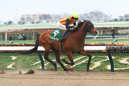 Costa Nova wins the Negishi Stakes at Tokyo Racecourse