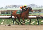 Costa Nova wins the 2025 Negishi Stakes at Tokyo Racecourse