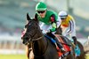 My Way Racing’s El Potente and jockey Hector I. Berrios win the Grade III $100,000 Thunder Road Stakes Saturday, February 1, 2025 at Santa Anita Park, Arcadia, CA.
Benoit Photo