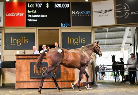 2025 Inglis Classic Yearling Sale