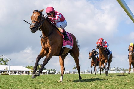 Vixen wins the Sweetest Chant Stakes at Gulfstream Park