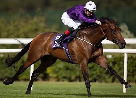 Hill Road breaks his maiden at Leopardstown