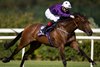 Hill Road and David Egan winners of the 1m colts and geldings maiden.
Leopardstown.
Photo: Patrick McCann/Racing Post
08.08.2024