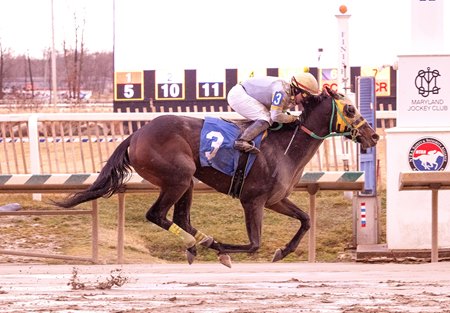 Regaled wins an allowance optional claiming race at Laurel Park
