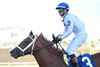 John Hancock wins the 2025 Sam F. Davis Stakes at Tampa Bay Downs